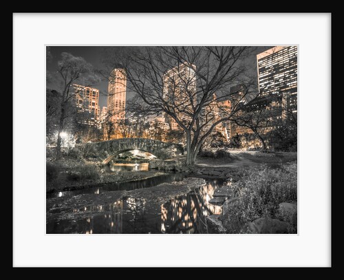 Central Park in New York City by Assaf Frank